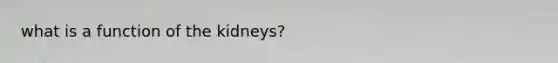 what is a function of the kidneys?