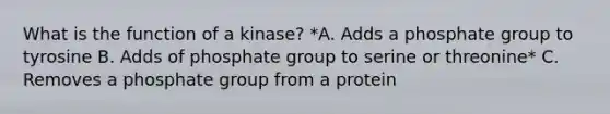 What is the function of a kinase? *A. Adds a phosphate group to tyrosine B. Adds of phosphate group to serine or threonine* C. Removes a phosphate group from a protein