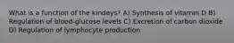 What is a function of the kindeys? A) Synthesis of vitamin D B) Regulation of blood-glucose levels C) Excretion of carbon dioxide D) Regulation of lymphocyte production