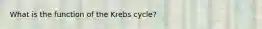 What is the function of the Krebs cycle?