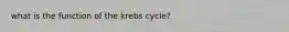 what is the function of the krebs cycle?