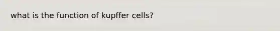 what is the function of kupffer cells?