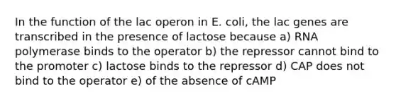 In the function of the lac operon in E. coli, the lac genes are transcribed in the presence of lactose because a) RNA polymerase binds to the operator b) the repressor cannot bind to the promoter c) lactose binds to the repressor d) CAP does not bind to the operator e) of the absence of cAMP