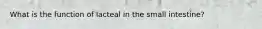 What is the function of lacteal in the small intestine?
