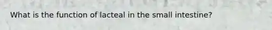 What is the function of lacteal in the small intestine?