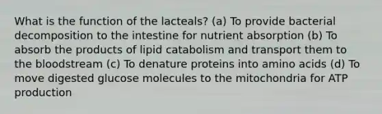 What is the function of the lacteals? (a) To provide bacterial decomposition to the intestine for nutrient absorption (b) To absorb the products of lipid catabolism and transport them to the bloodstream (c) To denature proteins into amino acids (d) To move digested glucose molecules to the mitochondria for ATP production