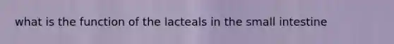 what is the function of the lacteals in the small intestine