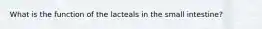 What is the function of the lacteals in the small intestine?