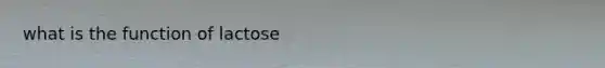 what is the function of lactose