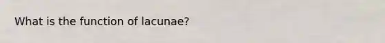 What is the function of lacunae?