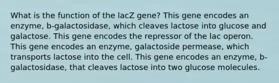 What is the function of the lacZ gene? This gene encodes an enzyme, b-galactosidase, which cleaves lactose into glucose and galactose. This gene encodes the repressor of the lac operon. This gene encodes an enzyme, galactoside permease, which transports lactose into the cell. This gene encodes an enzyme, b-galactosidase, that cleaves lactose into two glucose molecules.