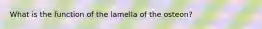 What is the function of the lamella of the osteon?