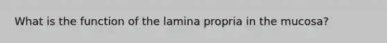 What is the function of the lamina propria in the mucosa?