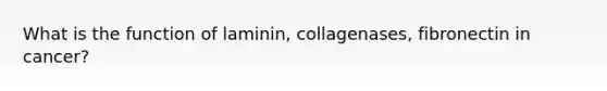 What is the function of laminin, collagenases, fibronectin in cancer?