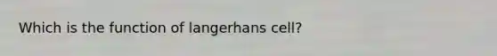 Which is the function of langerhans cell?