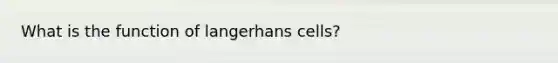 What is the function of langerhans cells?