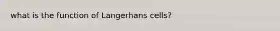 what is the function of Langerhans cells?