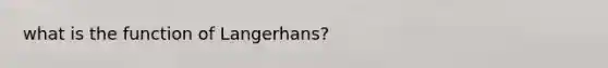 what is the function of Langerhans?