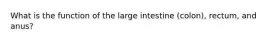 What is the function of the <a href='https://www.questionai.com/knowledge/kGQjby07OK-large-intestine' class='anchor-knowledge'>large intestine</a> (colon), rectum, and anus?