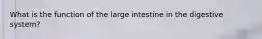 What is the function of the large intestine in the digestive system?