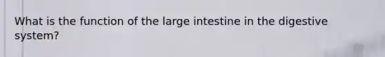 What is the function of the large intestine in the digestive system?