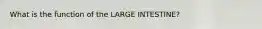 What is the function of the LARGE INTESTINE?
