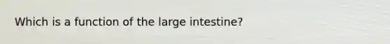 Which is a function of the <a href='https://www.questionai.com/knowledge/kGQjby07OK-large-intestine' class='anchor-knowledge'>large intestine</a>?