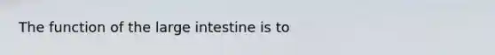 The function of the large intestine is to