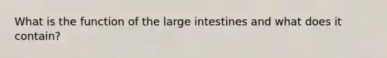 What is the function of the large intestines and what does it contain?