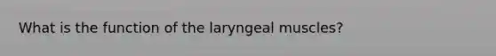 What is the function of the laryngeal muscles?