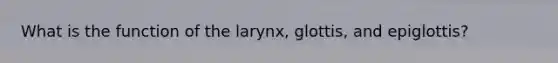 What is the function of the larynx, glottis, and epiglottis?