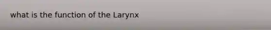 what is the function of the Larynx