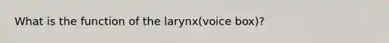 What is the function of the larynx(voice box)?