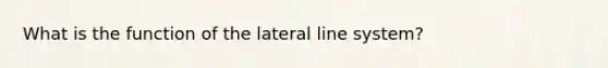 What is the function of the lateral line system?