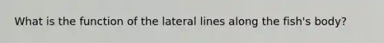 What is the function of the lateral lines along the fish's body?