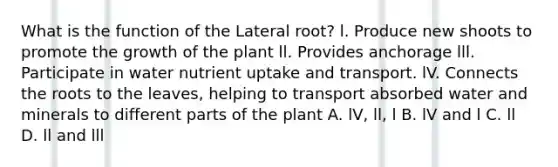 What is the function of the Lateral root? l. Produce new shoots to promote the growth of the plant ll. Provides anchorage lll. Participate in water nutrient uptake and transport. lV. Connects the roots to the leaves, helping to transport absorbed water and minerals to different parts of the plant A. lV, ll, l B. lV and l C. ll D. ll and lll