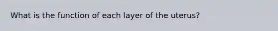 What is the function of each layer of the uterus?
