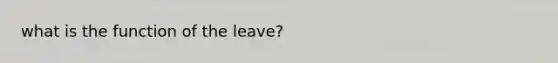 what is the function of the leave?