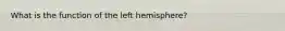 What is the function of the left hemisphere?