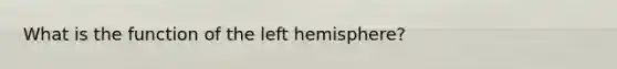 What is the function of the left hemisphere?