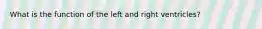 What is the function of the left and right ventricles?