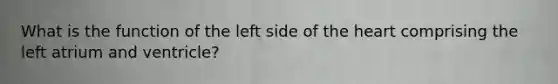 What is the function of the left side of the heart comprising the left atrium and ventricle?