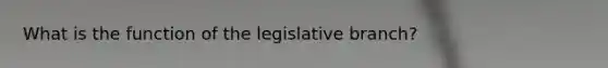 What is the function of the legislative branch?