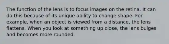 The function of the lens is to focus images on the retina. It can do this because of its unique ability to change shape. For example, when an object is viewed from a distance, the lens flattens. When you look at something up close, the lens bulges and becomes more rounded.