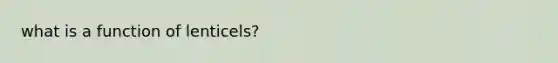 what is a function of lenticels?