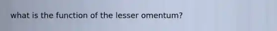 what is the function of the lesser omentum?