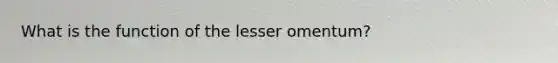 What is the function of the lesser omentum?