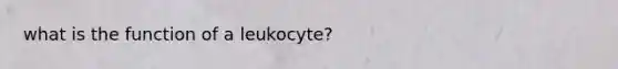 what is the function of a leukocyte?