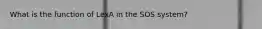 What is the function of LexA in the SOS system?