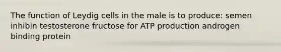 The function of Leydig cells in the male is to produce: semen inhibin testosterone fructose for <a href='https://www.questionai.com/knowledge/kQXM5vFKbG-atp-production' class='anchor-knowledge'>atp production</a> androgen binding protein